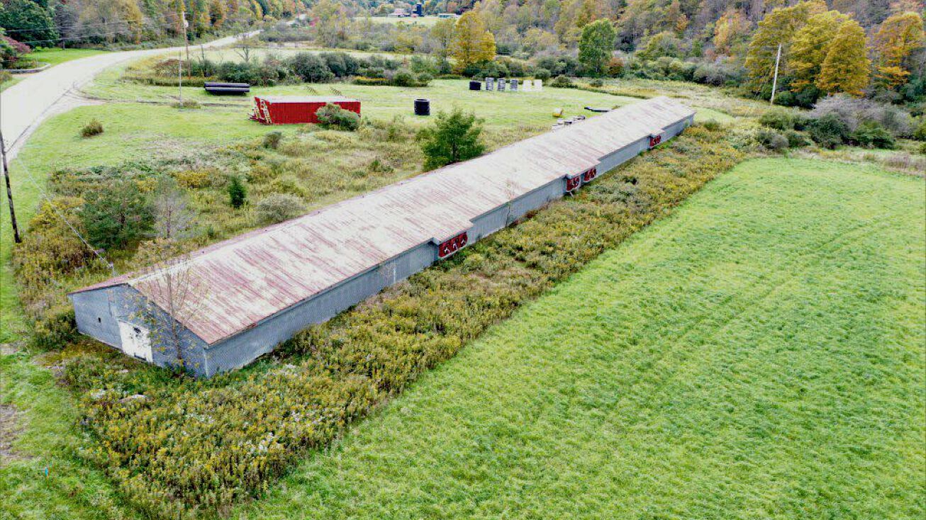 1191 State Rte 248, Rexville, NY 14877 Land for Sale 26 acres with Large Barn in Rexville NY