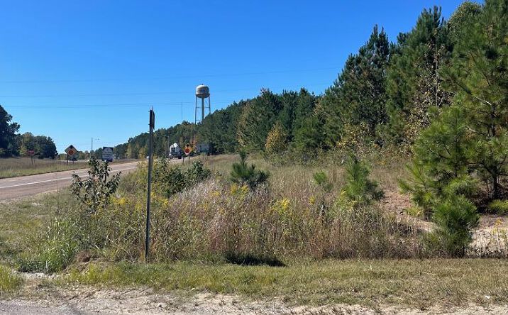 Pictures of Land property located at Veterans Drive & Hwy 22 North, Huntingdon, TN 38344 for sales - image #1