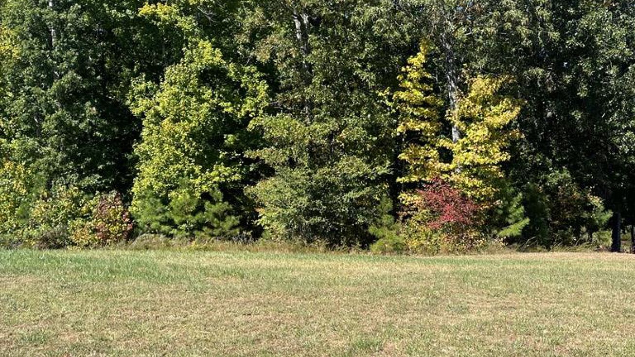 Kyle Rd/Southern Shores Pt Lot 103, Huntingdon, TN 38344 Land for