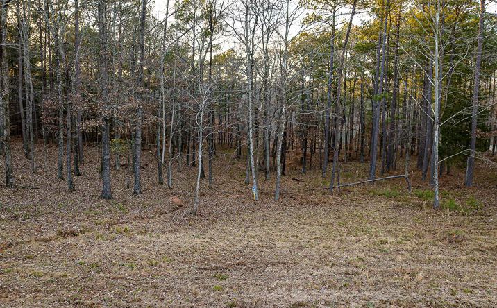 Pictures of Land property located at Lot 9 Stately Oaks Dr, Huntingdon, TN 38344 for sales - image #1