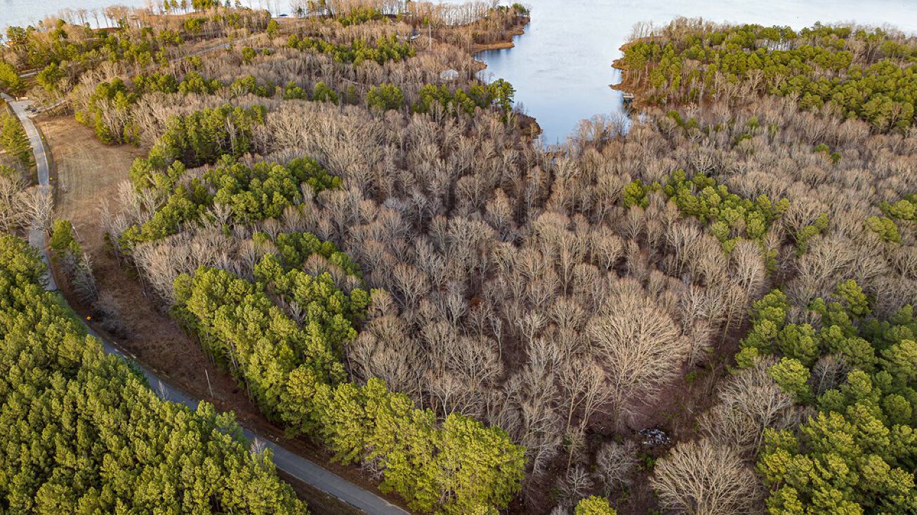 Lot 7 Stately Oaks Dr, Huntingdon, TN 38344 Land for Sale Lot 7