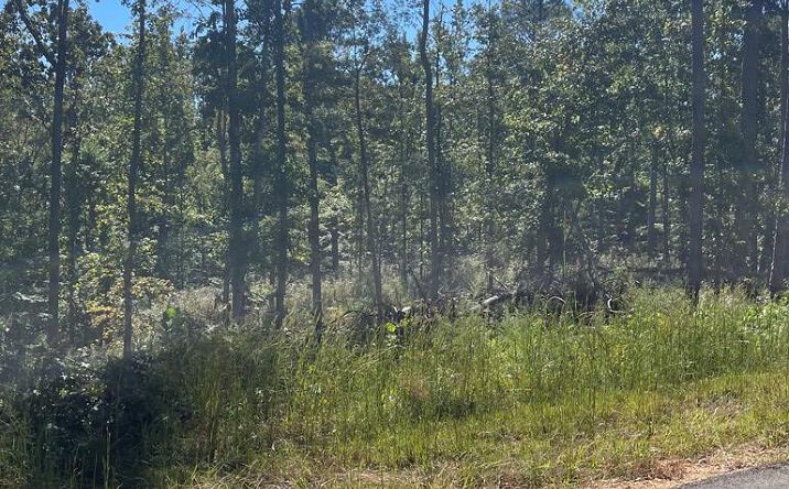 Pictures of Land property located at 000 Beach Bluff Ln (Lot 24), Huntingdon, TN 38344 for sales - image #1