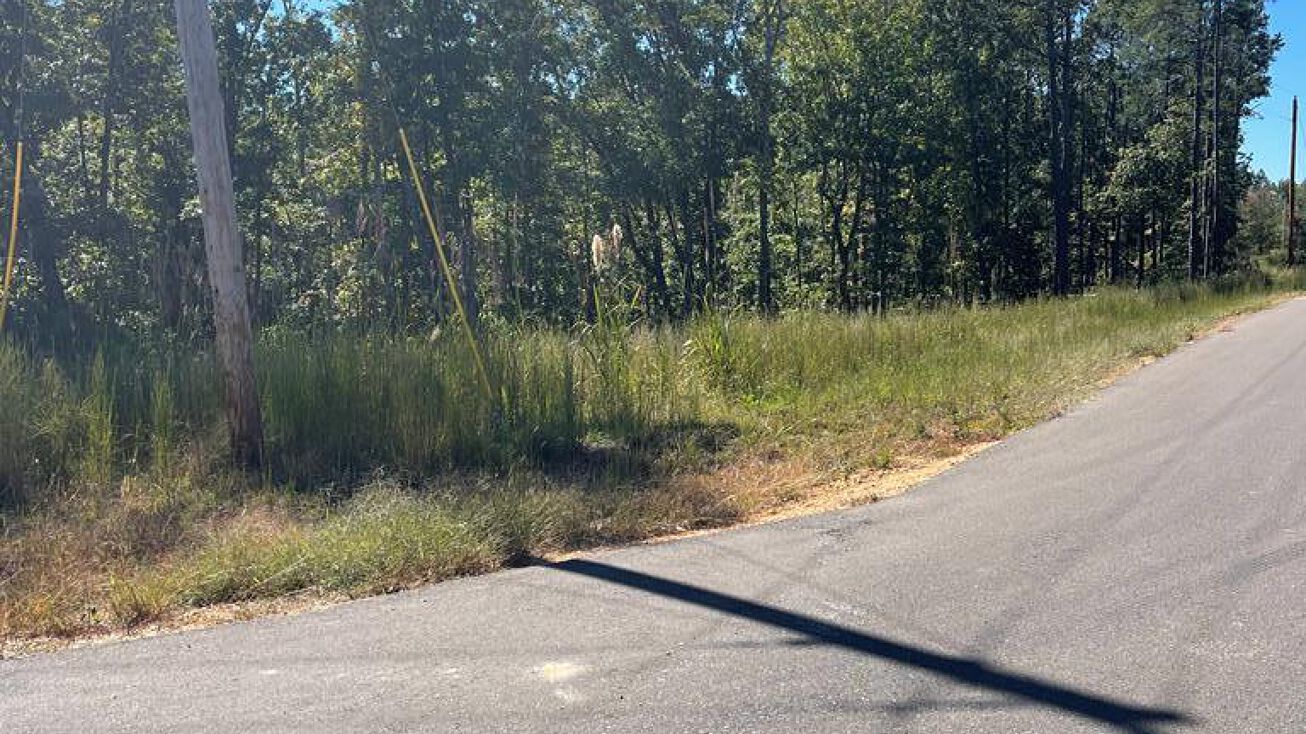 Beach Bluff Ln (LOT 25), Huntingdon, TN 38344