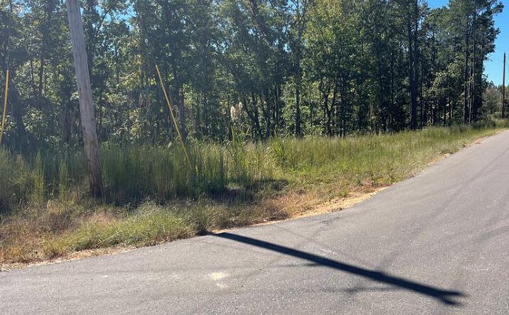 Pictures of Land property located at Beach Bluff Ln (LOT 25), Huntingdon, TN 38344 for sales - image #1