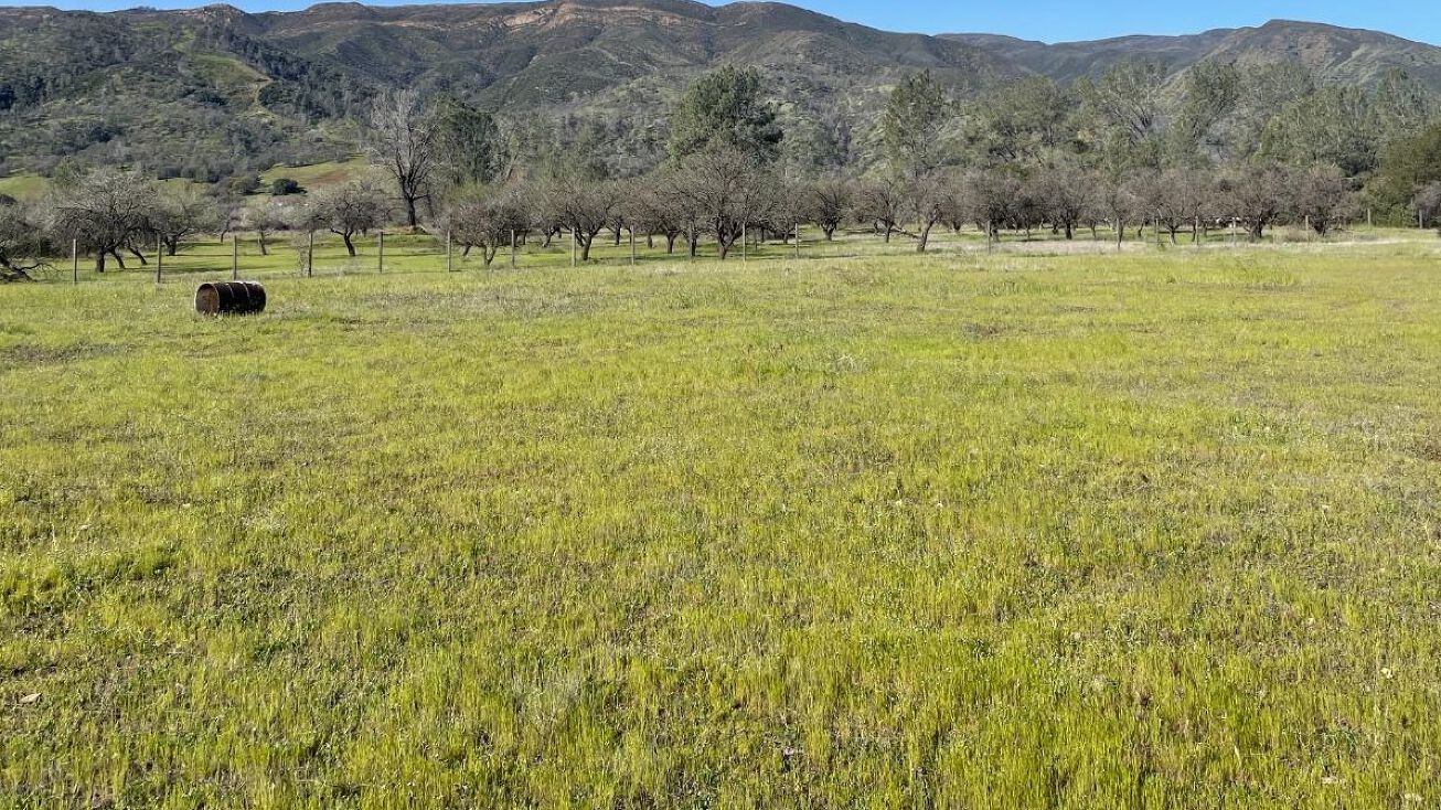 148515 Co Rd 41A, Rumsey, CA 95679 Land for Sale 148515 CR 41A, RUMSEY, CA 95679