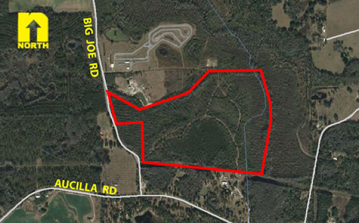 Pictures of Land property located at Big Joe Rd, Monticello, FL 32344 for sales - image #1