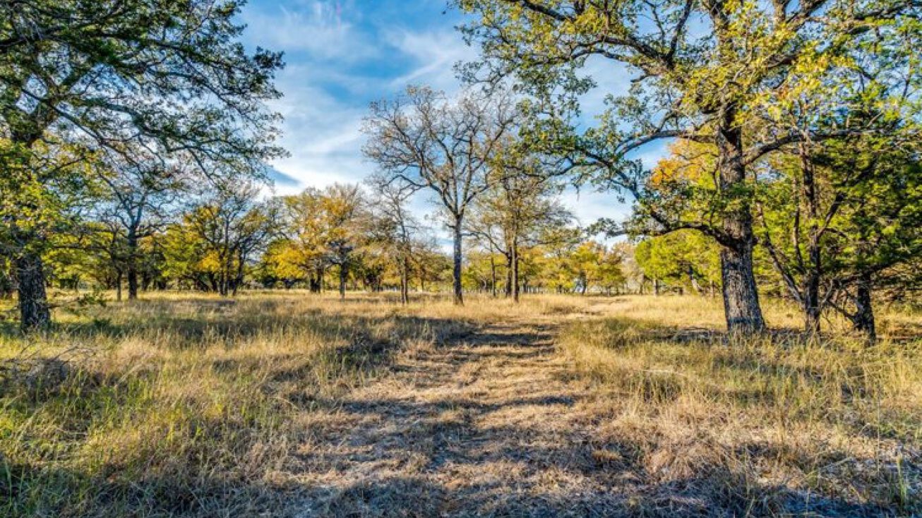 TBD Lamkin, Mineral Wells, TX 76067 | Crexi.com