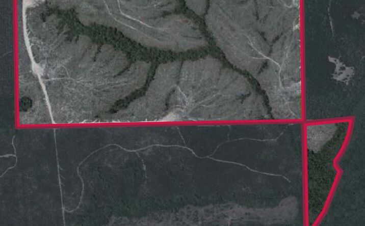 Pictures of Land property located at Taylor County, GA-Tract 32055, Butler, GA 31006 for sales - image #1