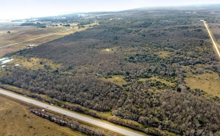 Pictures of Land property located at FM521, Brazoria, TX 77583 for sales - image #1