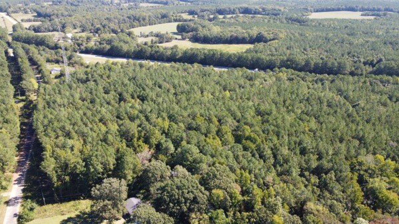 Bantham Ln, Blackstock, SC 29014