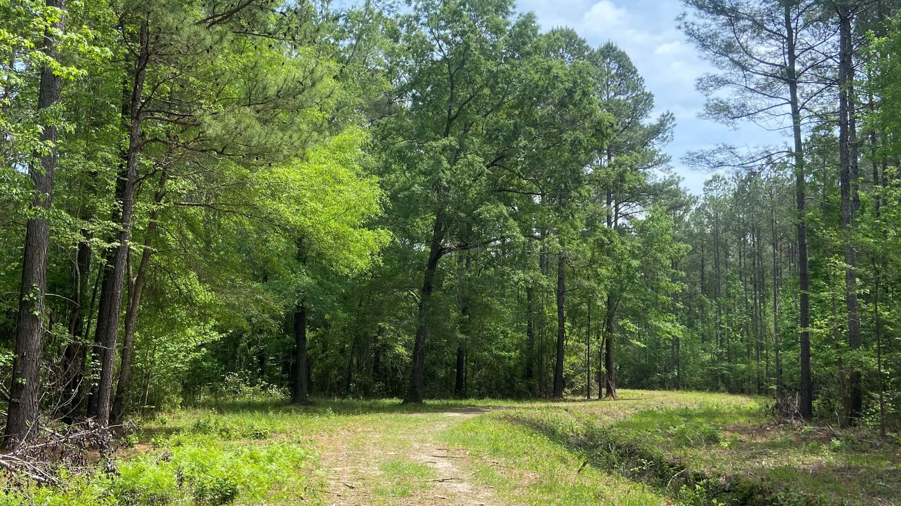 Enoch Rd, Conway, SC 29526