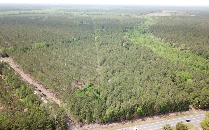 Pictures of Land property located at US-701, Conway, SC 29440 for sales - image #1