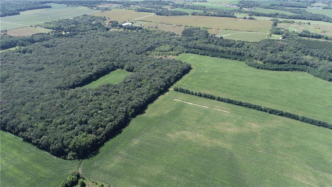 0 WI37, Mondovi, WI 54755