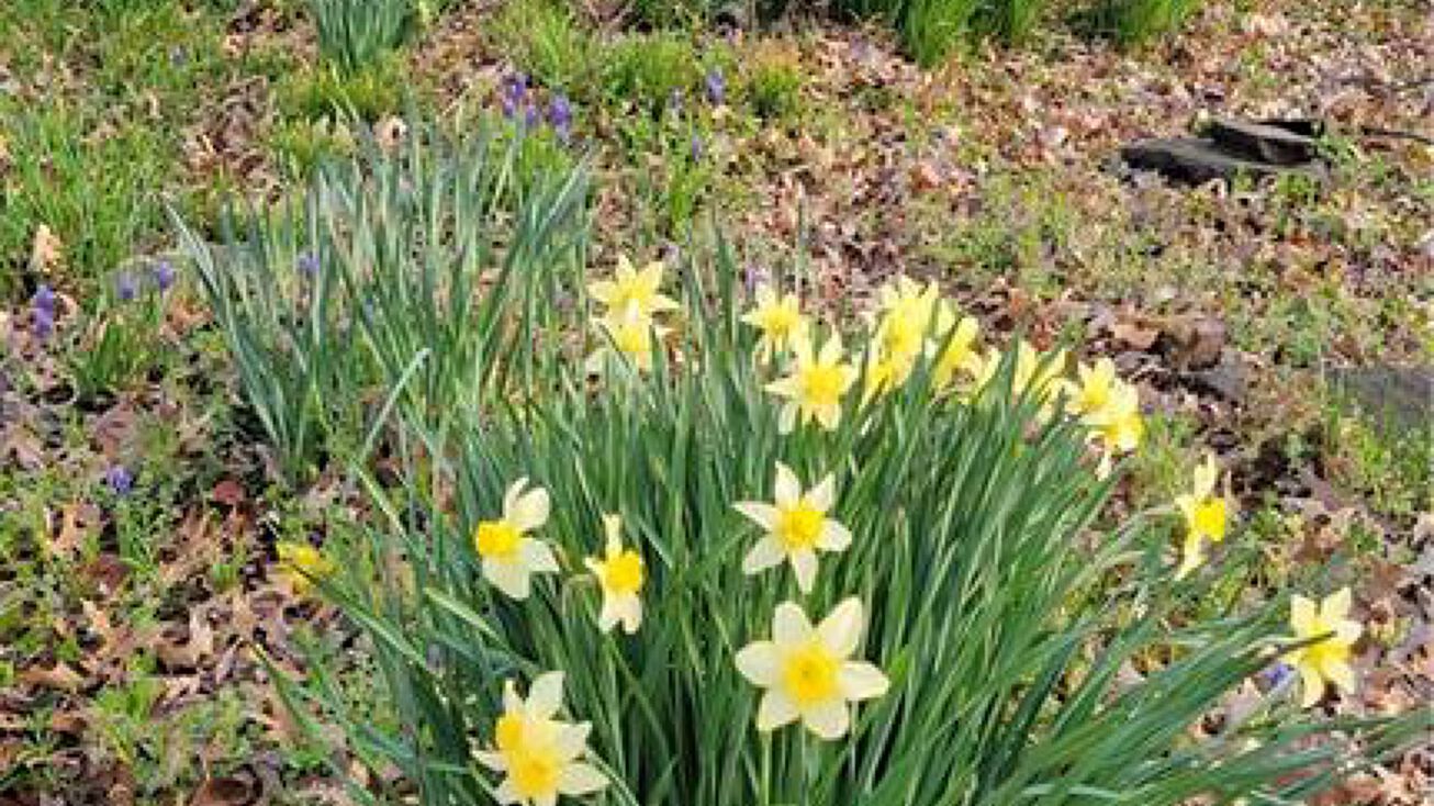 505 E 8th Street, Pleasanton, KS 66075