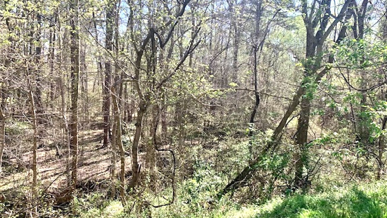 131 N Wilkins Rd, Haw River, NC 27258