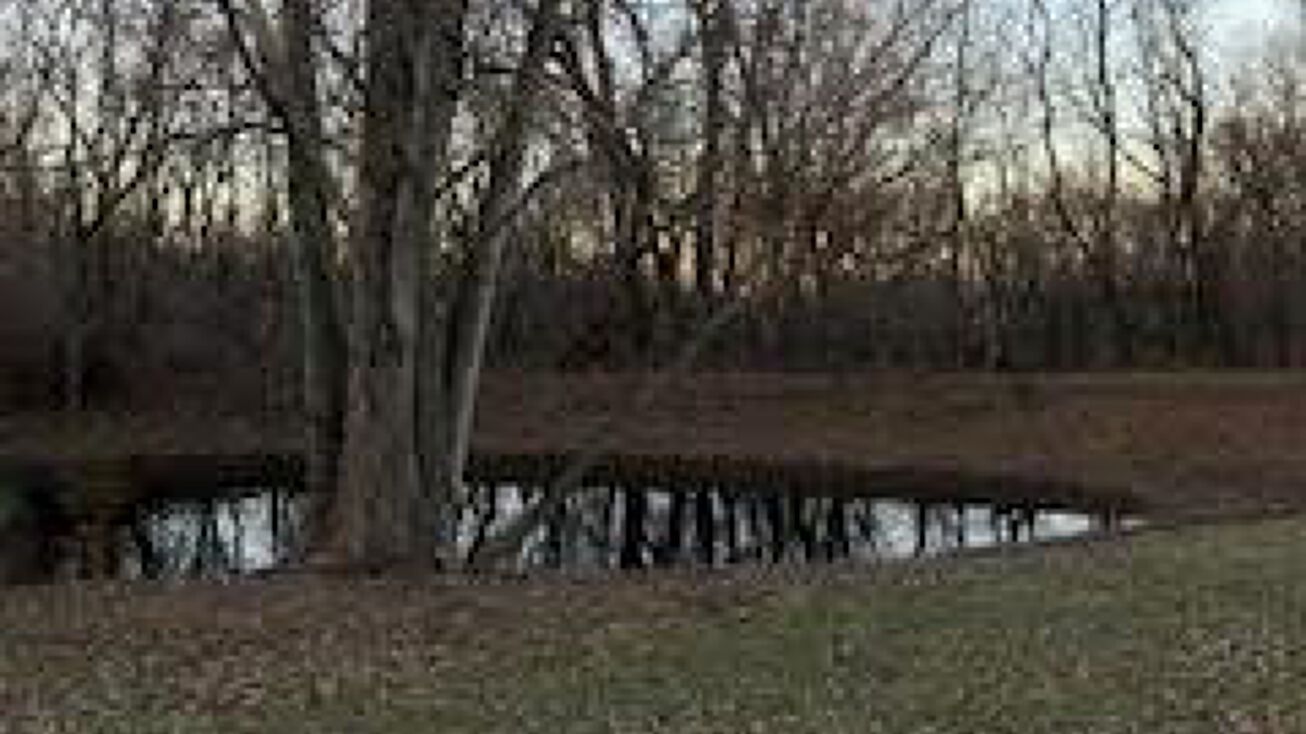 7802 allman Road, Lenexa, KS 66217 Land for Sale 7802 allman Road