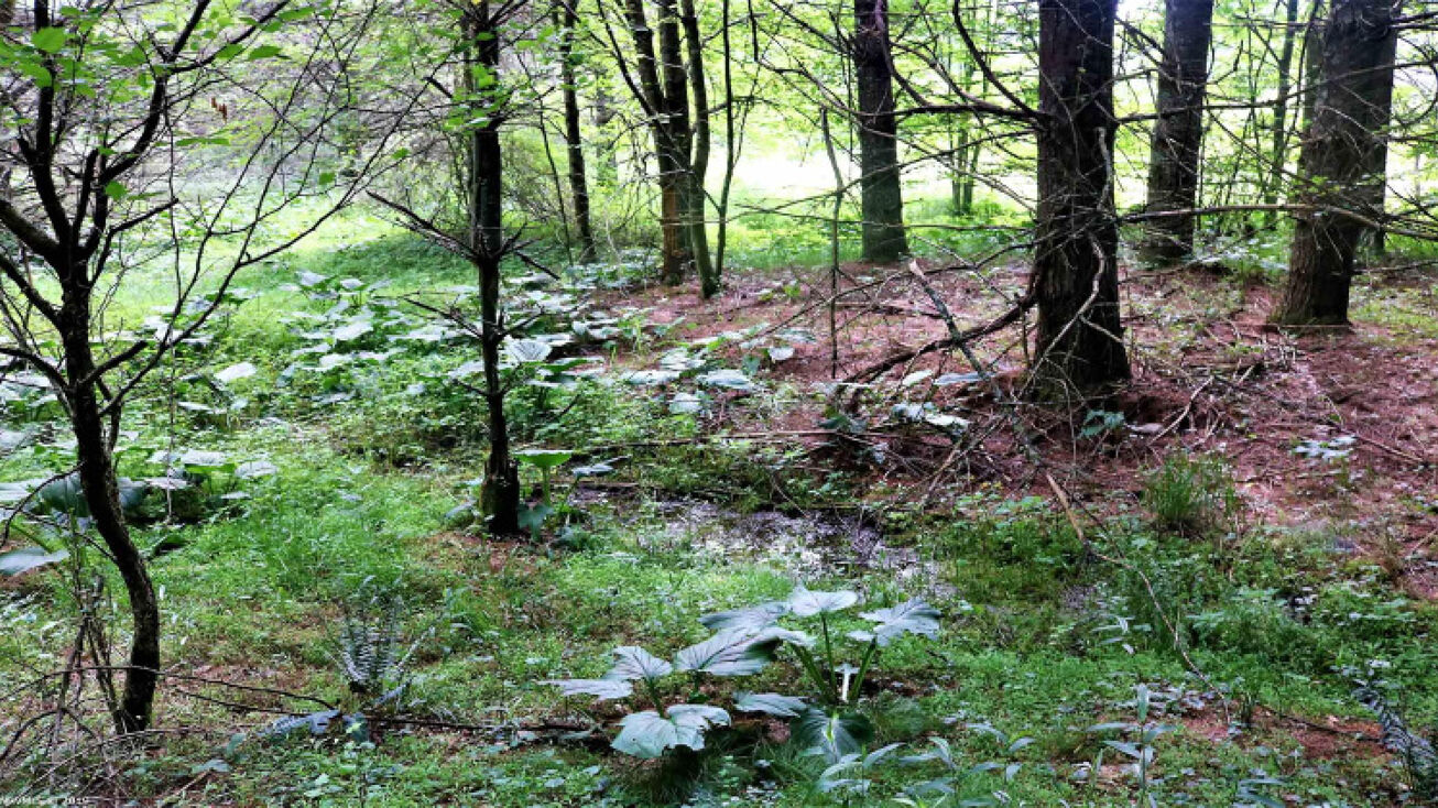 385 Archa St, Hillsville, VA 24343 Land for Sale 385 Archa Street