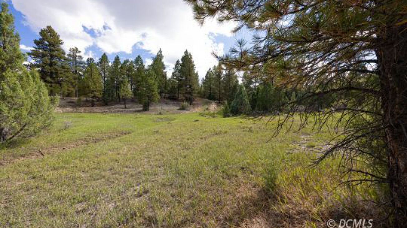 2820 N Dead Horse Lp, Alton, UT 84710 Land for Sale 2820 N Dead