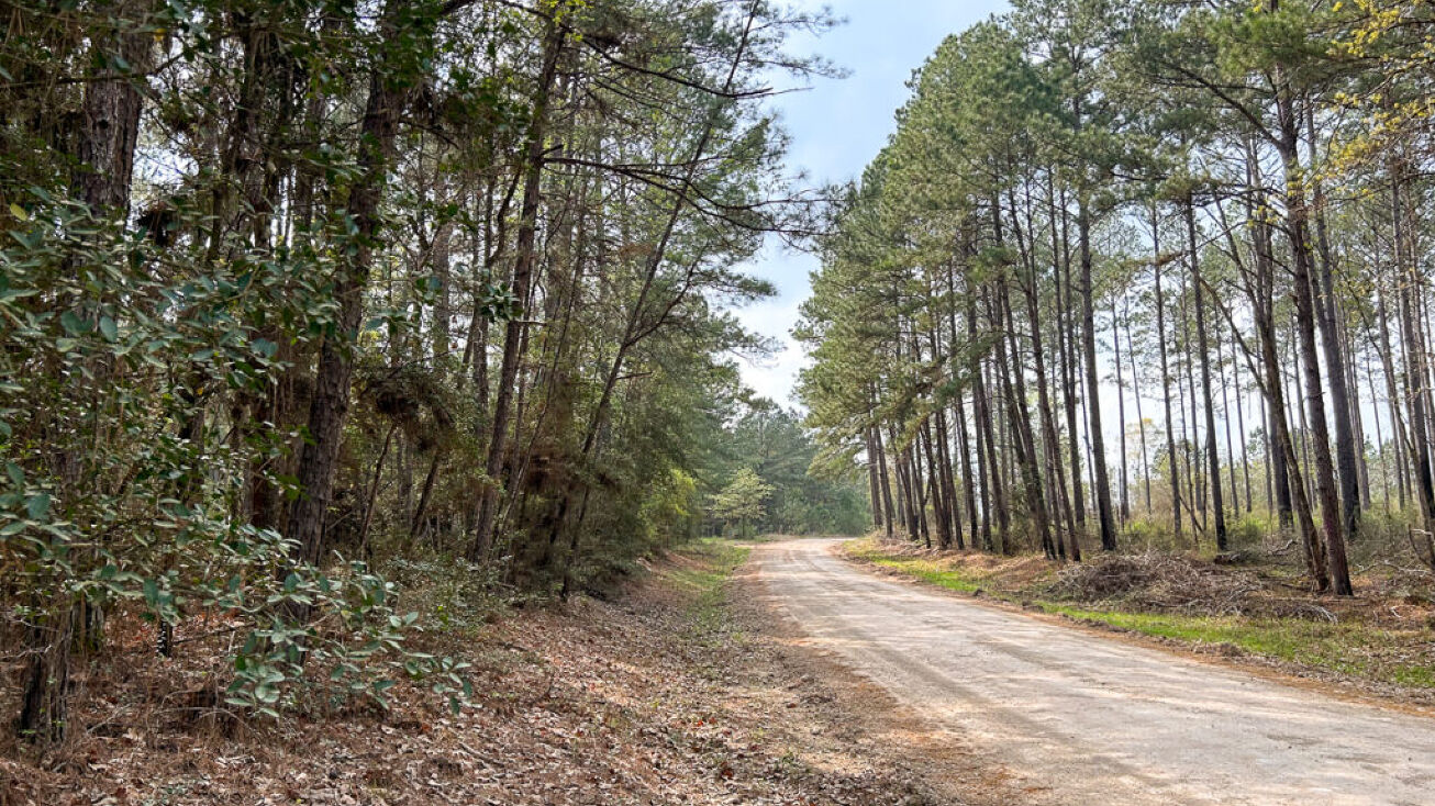 Felix Currie Rd, Point Blank, TX 77364 Land for Sale Felix Currie Rd