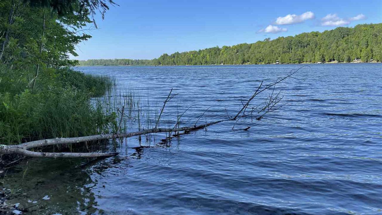 0 Marion Center Road, Charlevoix, MI 49720