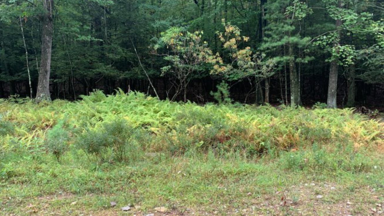 Blueberry Rd, Monroe County, PA 18360