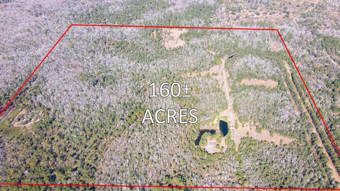 8350 S McLaughlin Trail, Homosassa, FL 34446