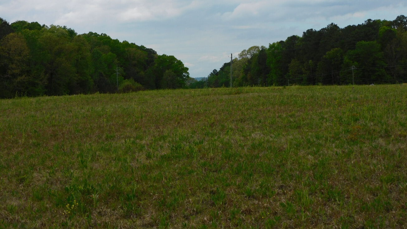 AL25, Montevallo, AL 35115