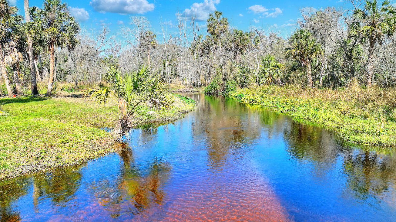 12620 Amber Ln, Lithia, FL 33547