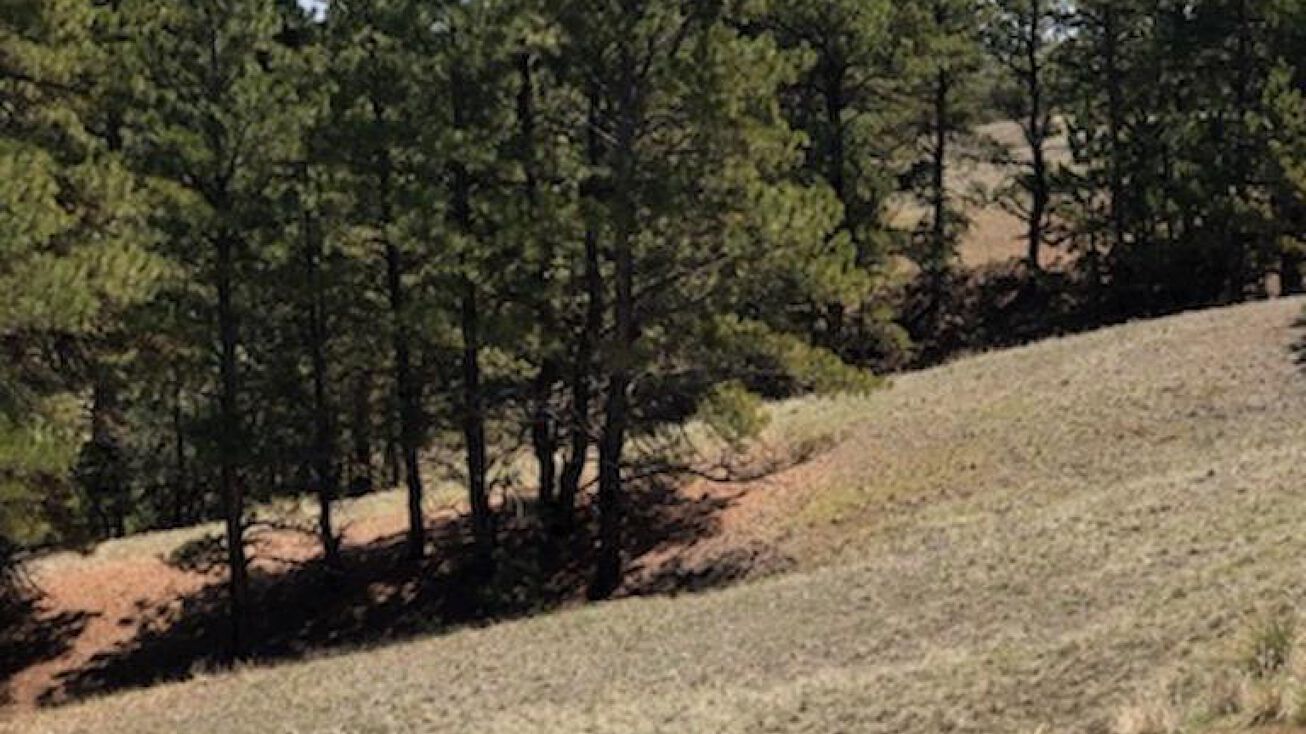 LOT 118 Brooks BLVD, Lingle, WY 82223