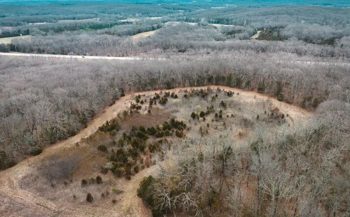 Pictures of Land property located at TBD Old Highway 50-Tract 2, Gerald, MO 63037 for sales - image #1