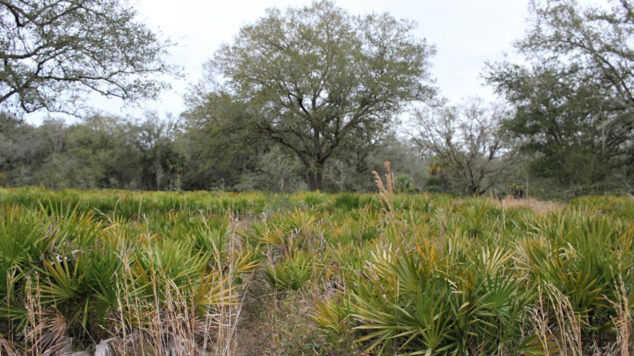 Old Crewsville Rd, Zolfo Springs, FL 33890