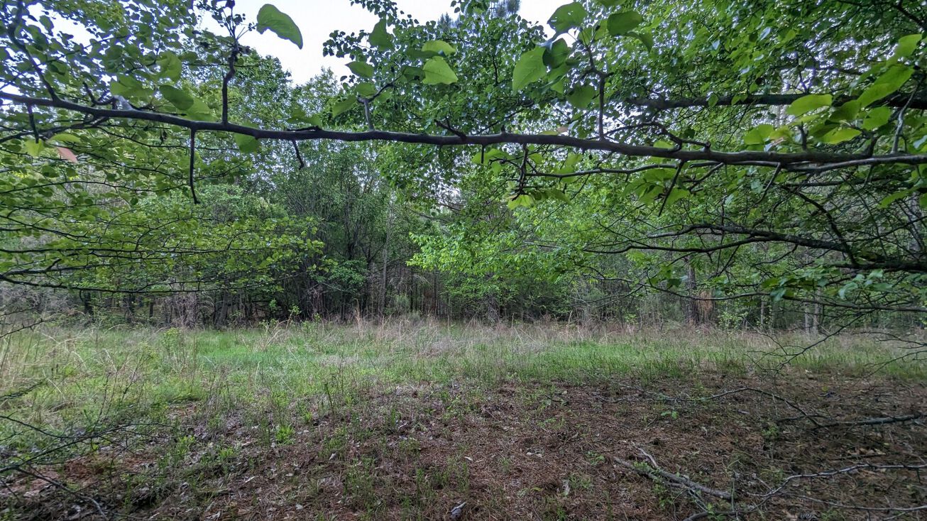 7490 Butner Road, Atlanta, GA 30213 Land for Sale 7490 Butner Road