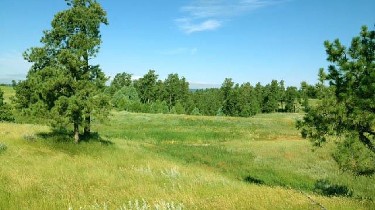 TBD Gruenhagen Road,, Moorcroft, WY 82721 Land for Sale TBD