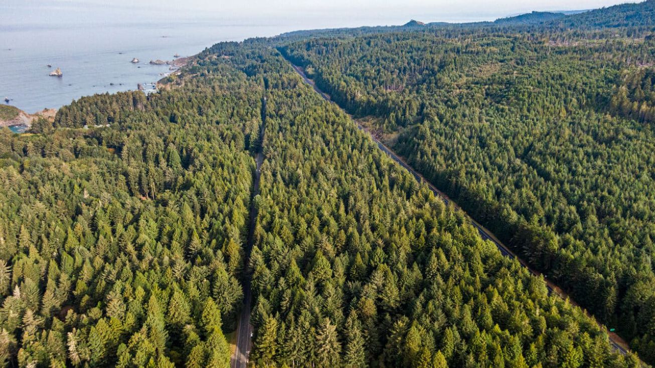 1155 Patricks Point Dr, Trinidad, CA 95570 Land for Sale Trinidad