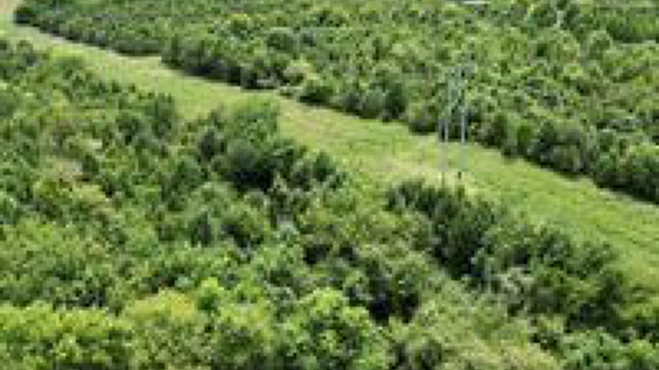 xxx Fountain Road, Joplin, MO 64801