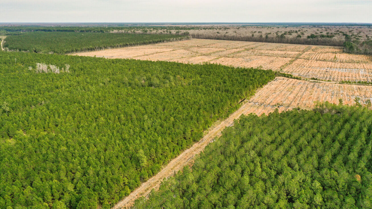 Pictures of Land property located at 0 Hwy 264 East, Scranton, NC 27875