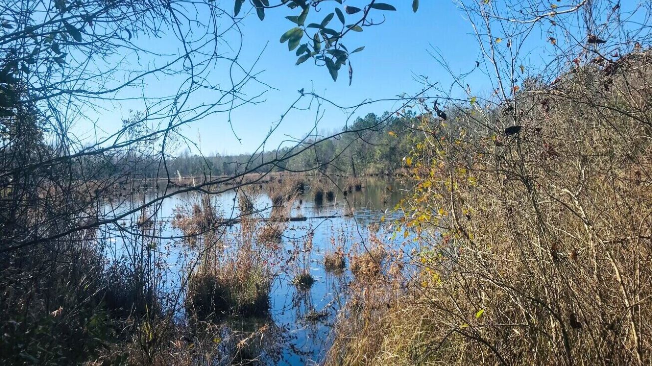 Jb Albritton Rd, Ellaville, GA 31806 Land for Sale 0 JB Albritton Road