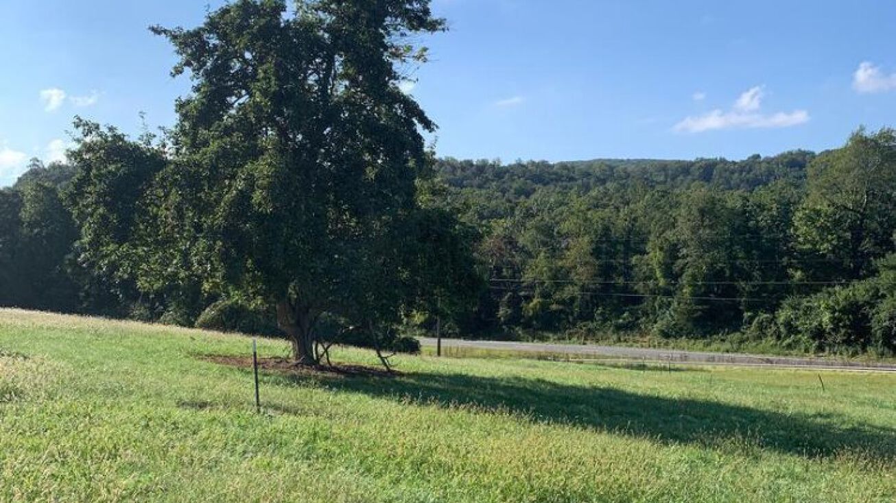 Mt Carmel Rd, Paris, VA 20130