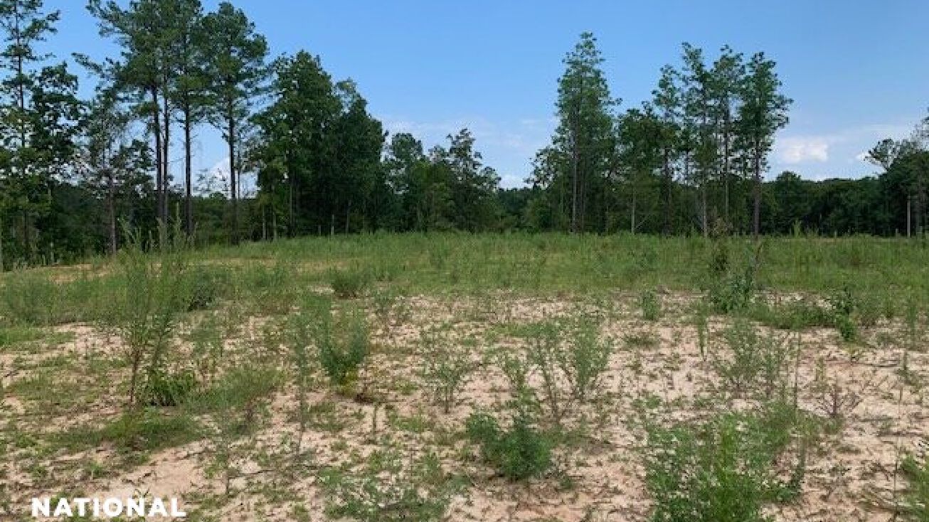 617 Co Rd 102, Pittsboro, MS 38951