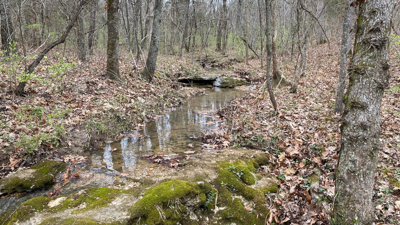 Echo Woods Dr, DeSoto, MO 63020