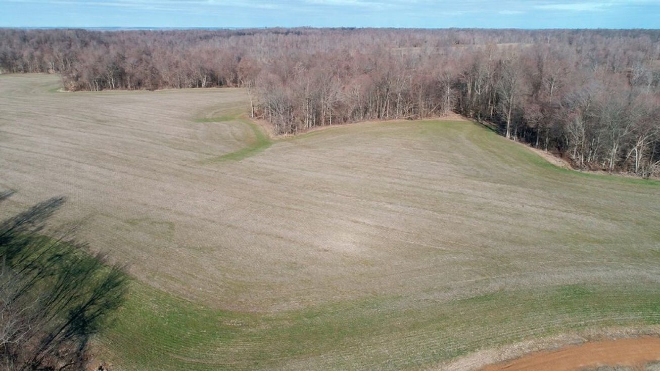 0 County Road 1220, Bardwell, KY 42023 Land for Sale Carlisle