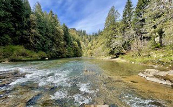 Pictures of Mixed Use property located at 28593 Lower Smith River Rd, Reedsport, OR 97467 for sales - image #1