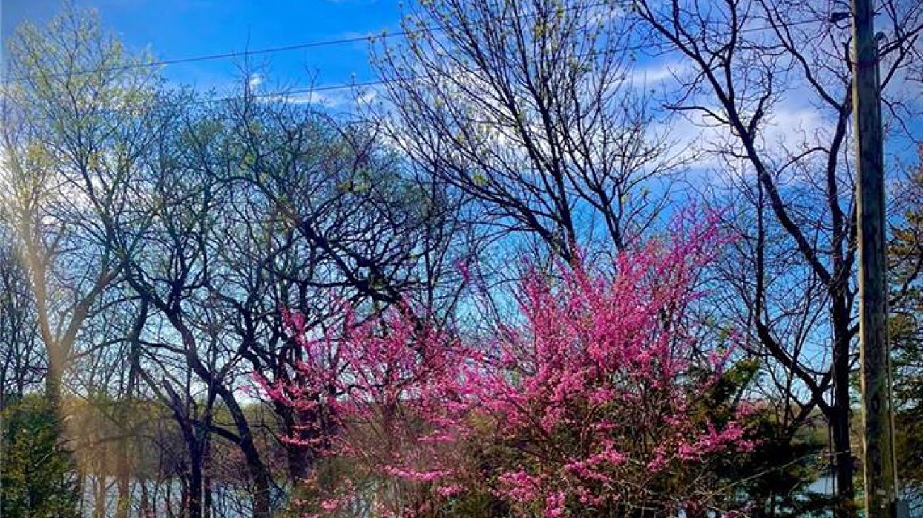 162 Lakeside Drive, La Cygne, KS 66040 Land for Sale 162 Lakeside Drive