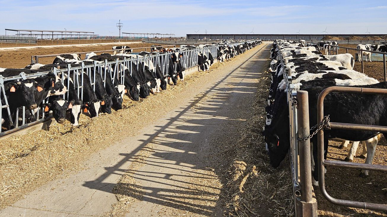 600 Co Rd 620, Dimmitt, TX 79027