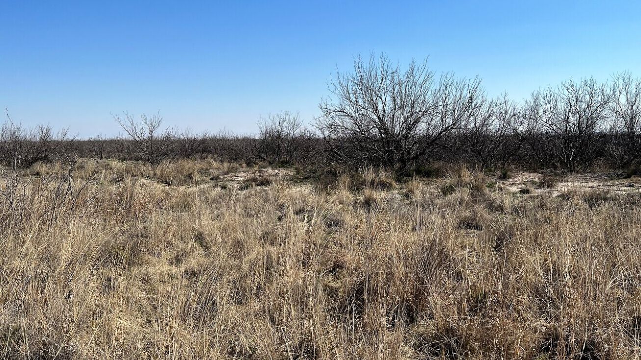 10001 W. County Road 75, Imperial, TX 79743 Land for Sale 10001 W