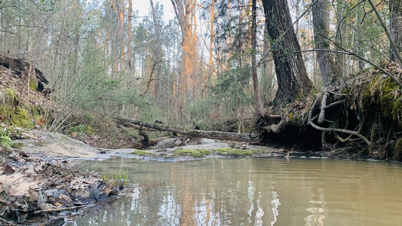 0 Skyline Drive Chester, Chester, SC 29706