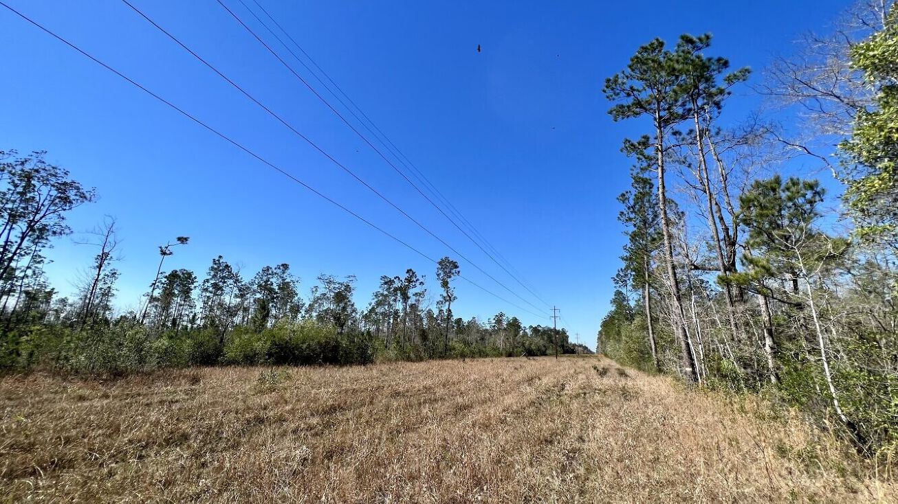 0 Hawthorn Road Wagarville, McIntosh, AL 36553 Land for Sale