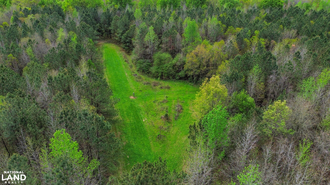 Pictures of Land property located at Valley Grande, Valley Grande, AL