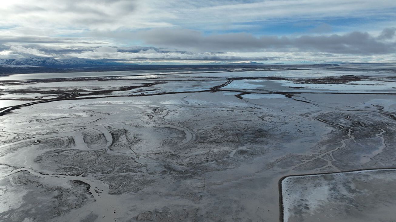 Bear River Wetlands & Waterfowl, Cass, ND 58031