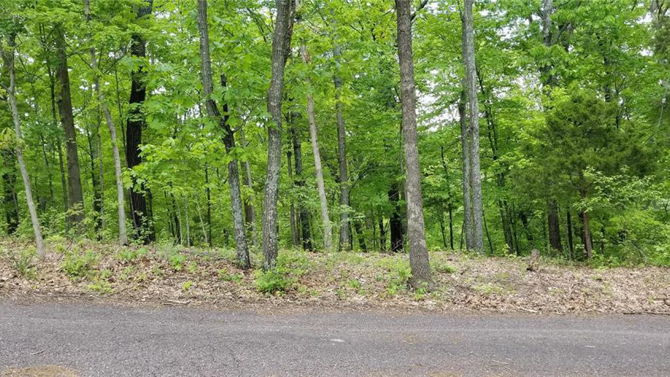 Spavale Dr, High Ridge, MO 63049